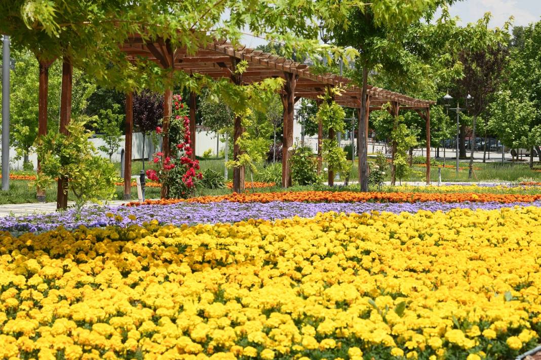 1,8 milyon çiçek, açtı: İşte göz kamaştıran Konya park ve caddeleri 1